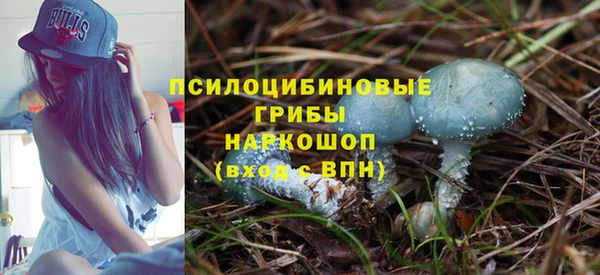 spice Балахна