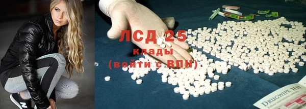 стаф Баксан
