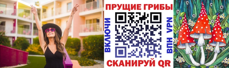 мориарти клад  продажа наркотиков  Каневская  Псилоцибиновые грибы Psilocybine cubensis 